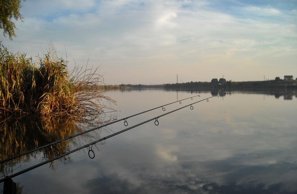 Concursuri - 2009 - dscn0899-2.jpg